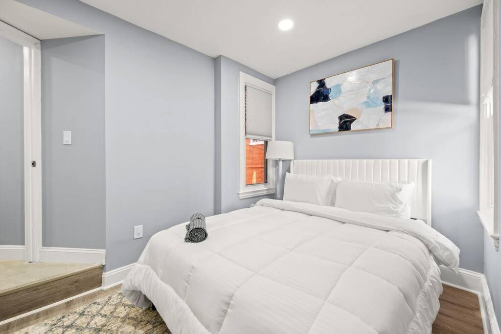 New! Cozy Apt In Center City! ฟิลาเดลเฟีย ภายนอก รูปภาพ